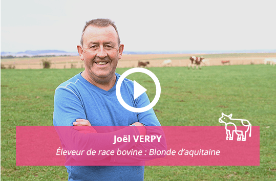 joel-verpy